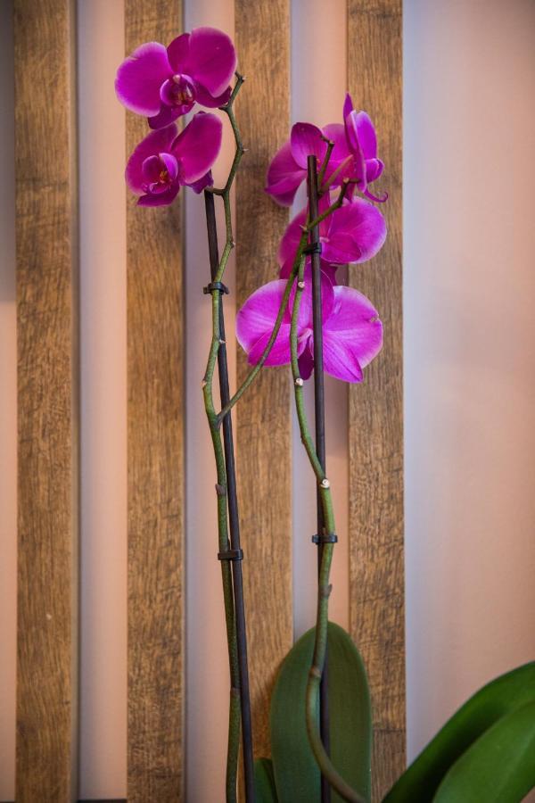 Downtown Oasis Apartment Дубровник Екстериор снимка
